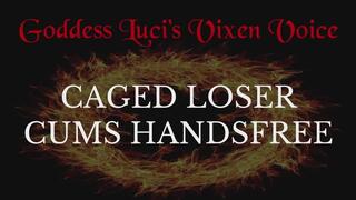 Caged Loser Cums Handsfree