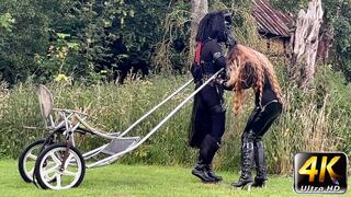 4-Day Ponyplay Training Compilation (4K)