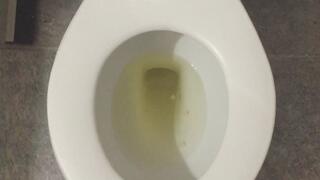 GOLD PEE IN MY TOILET