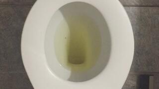 GOLD PISS IN MY TOILET