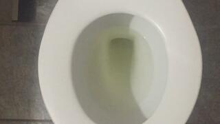 MY PEE IS GOLD INSIDE MY TOILET
