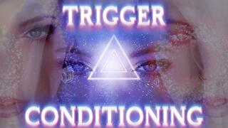 TRIGGER CONDITIONING LOOP