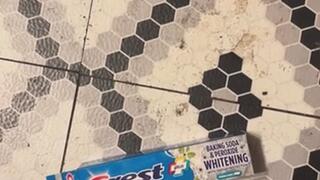 Bad Breath Fetish MP4