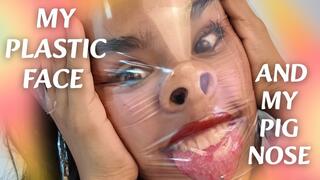 MY PLASTIC FACE AND PIG NOSE