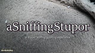 aSniffingStupor 4K