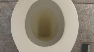 PEE GOLD TOILET