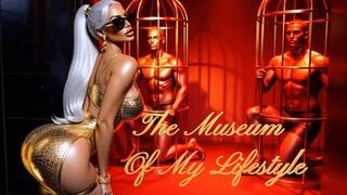 THE MUSEUM OF MY LIFESTYLE