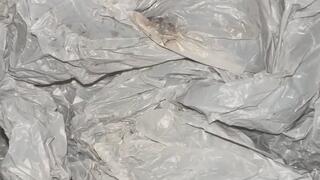 Balloon Stuffing MP4