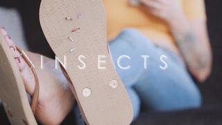 Insects - Danielle Maye HQE