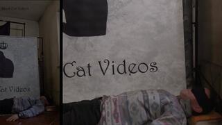 Alice trampling while telling her day (two cameras)