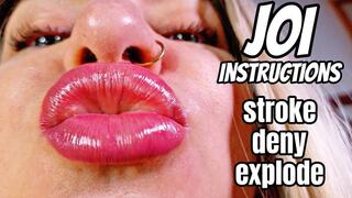 Glossy Pink Lips JOI Edging – 15 Min Countdown Control