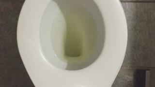 PEE GOLD TOILET PROFIT PERCENT SITTING