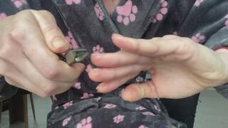 cut nails mp4