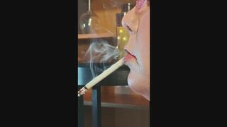 Close up profile view holding VS 120 in mouth