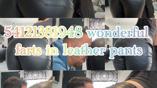 54121381948 wonderful farts in leather pants