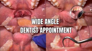 Wide angle dentist appointment - OnlyVanessa