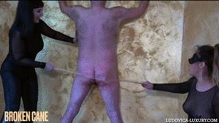 LUDOVICA LUXURY - BROKEN CANE part. 2 -mobile