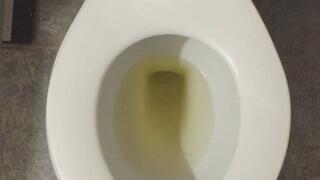 GOLD PISS IN MY TOILET PROFIT PERCENT SITTING
