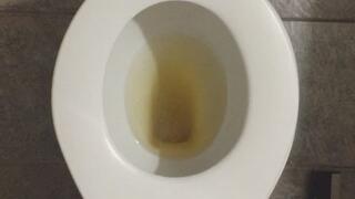 GOLD PISS TOILET PROFIT PERCENT SITTING