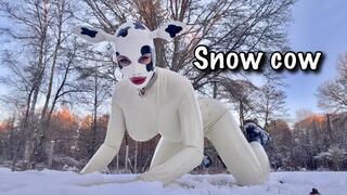 Snow cow in latex