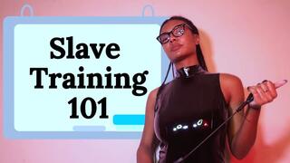 Slave Training 101: Beginner’s Guide to Obedience