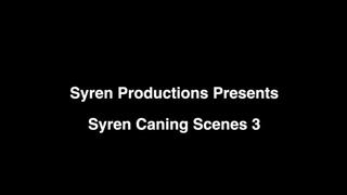 Syren Caning Scenes 3 (720p)