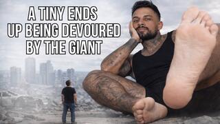 A tiny ends up being devoured by the giant - Lalo Cortez