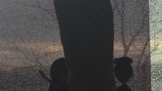 MSN THE ZONE MSN THE ZONE DISCONNECT ROOM NOISE PROFIT PERCENT SITTING