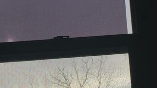 *MSN THE ZONE DISCONNECT ROOM NOISE* PROFIT PERCENT SITTING