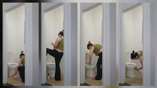 CLEANING THE BROWNIE COVERED TOILET