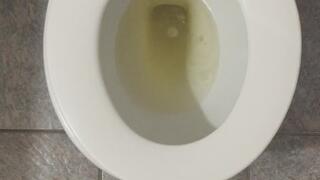 MSN THE ZONE GOLD PEE IN MY TOILET