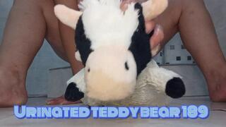 Urinated teddy bear 189