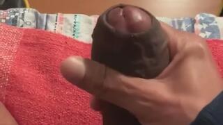 Breeding the fuck out of a sub bitch