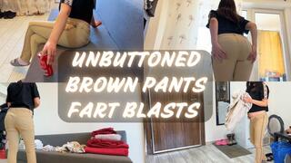 Bloated Gassykat Farts While Folding Laundry
