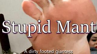 Stupid Mant Remastered HD
