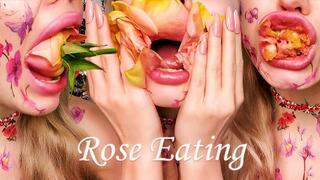 Floral Fantasy: Rose Petal Delight