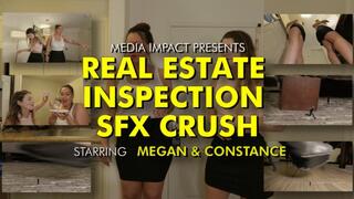 Real Estate Inspection SFX Crush