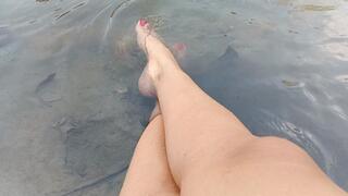 Pronounced arches in the middle of the water (3)