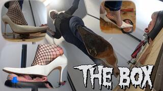 CC - The box , disgusting heels and cookie