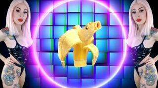 Suck yourself for the spunk - AUTO FELLATIO , CEI , JOI