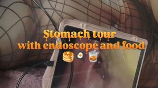 Stomach tour with endoscope and food