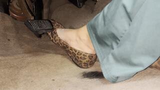 Sunday Drive in Leopard Print Flats