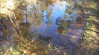 Blaze Waterhole Challenge