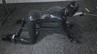 Fully automatic mechanical deep throat training