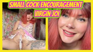 Step-Mommy's Good Boy Small Cock Encouragement and Virgin JOI