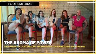 The Aroma of Power: Submissives Savor the Physical Effort of Six Dominatrices (1080 EN SUB) - Foot Domination - Foot Smelling - Sneaker Fetish - Foot Humiliation - Sock Smelling