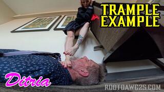 Ditria Rose - Trample Example 1080p WMV