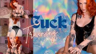 Cuck Training: Suck & Ride with my big dick torso toy