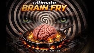ULTIMATE BRAIN FRY