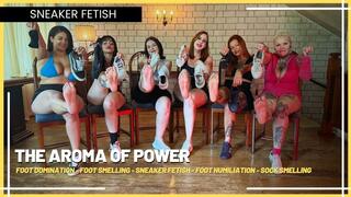 The Aroma of Power: Submissives Savor the Physical Effort of Six Dominatrices (720 EN SUB) - Foot Domination - Foot Smelling - Sneaker Fetish - Foot Humiliation - Sock Smelling